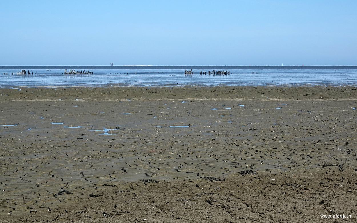 het Wad gezien vanaf de strekdam langs de Peazemerlânnen