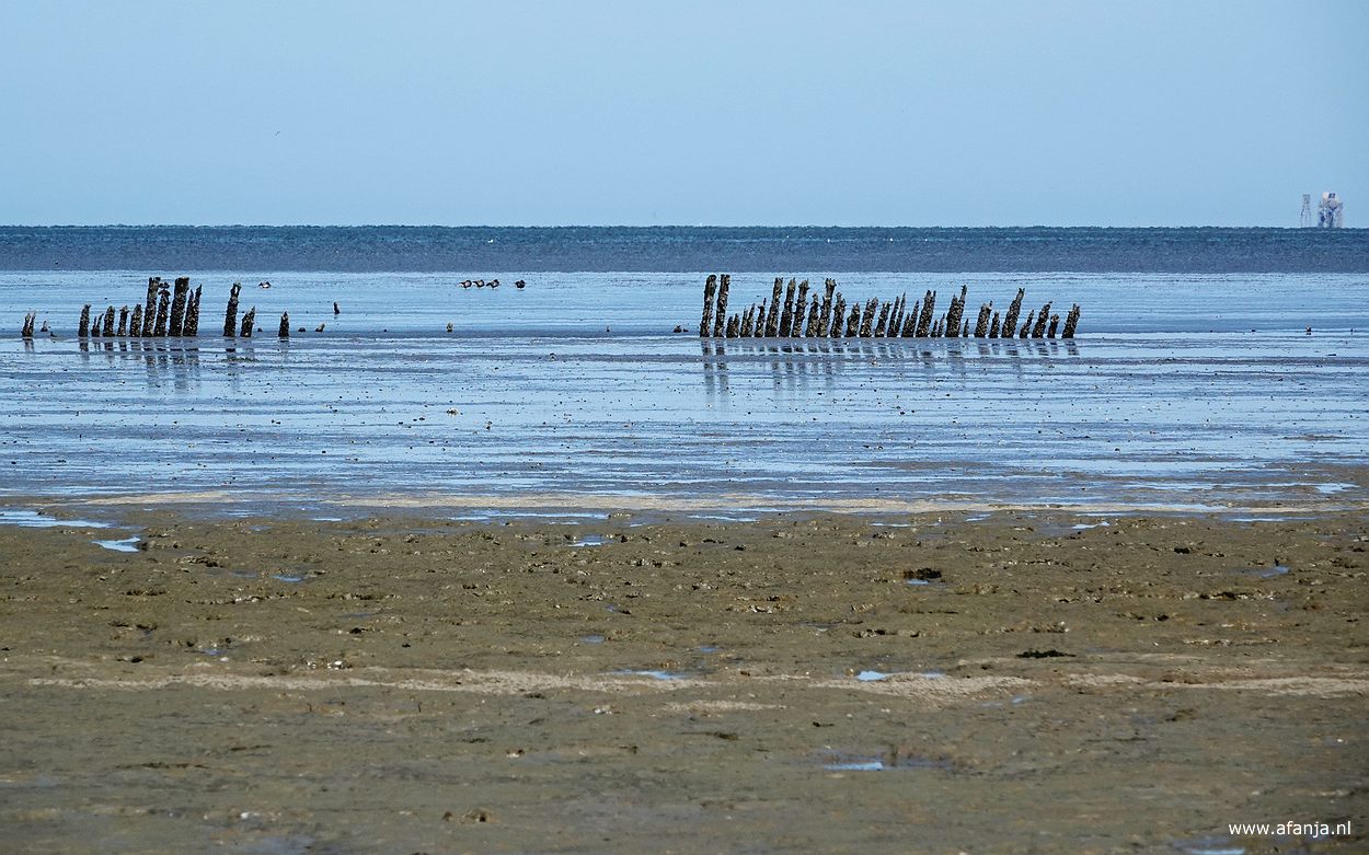 het Wad gezien vanaf de strekdam langs de Peazemerlânnen