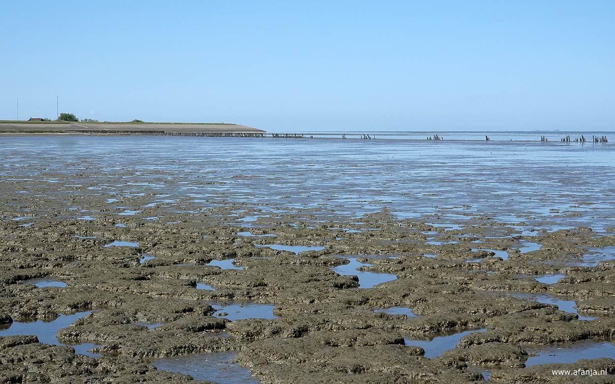 op de voorgrond natte zeeklei, linksachter is de zeedijk bij Peazens-Moddergat, vanaf de dijk loopt er een lange rij palen, die langzaam verdwijnt in zee