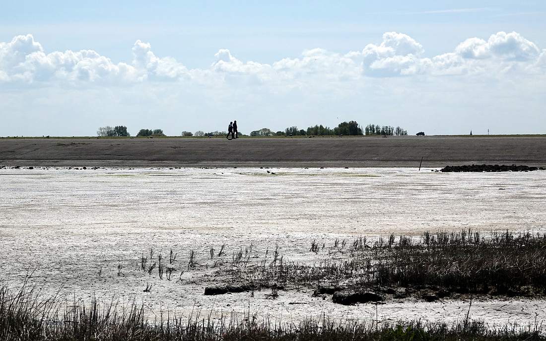 wandelaars langs het Wad