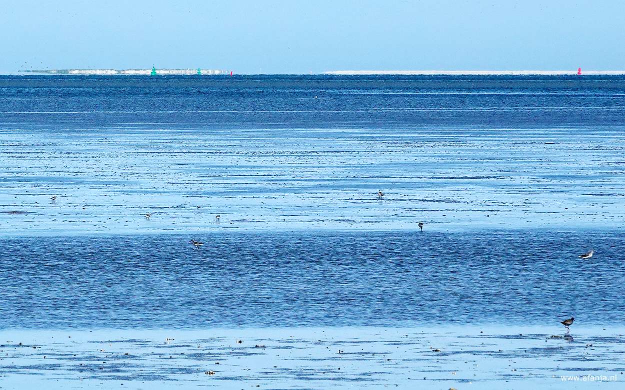 uitzicht over de Waddenzee, bijna alleen lucht en water