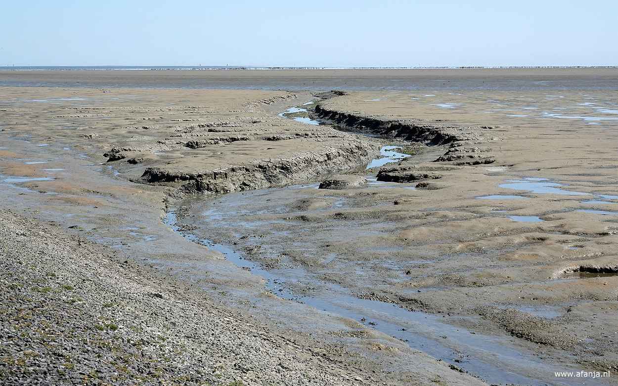 een slenk aan het begin van de Peazemerlânnen