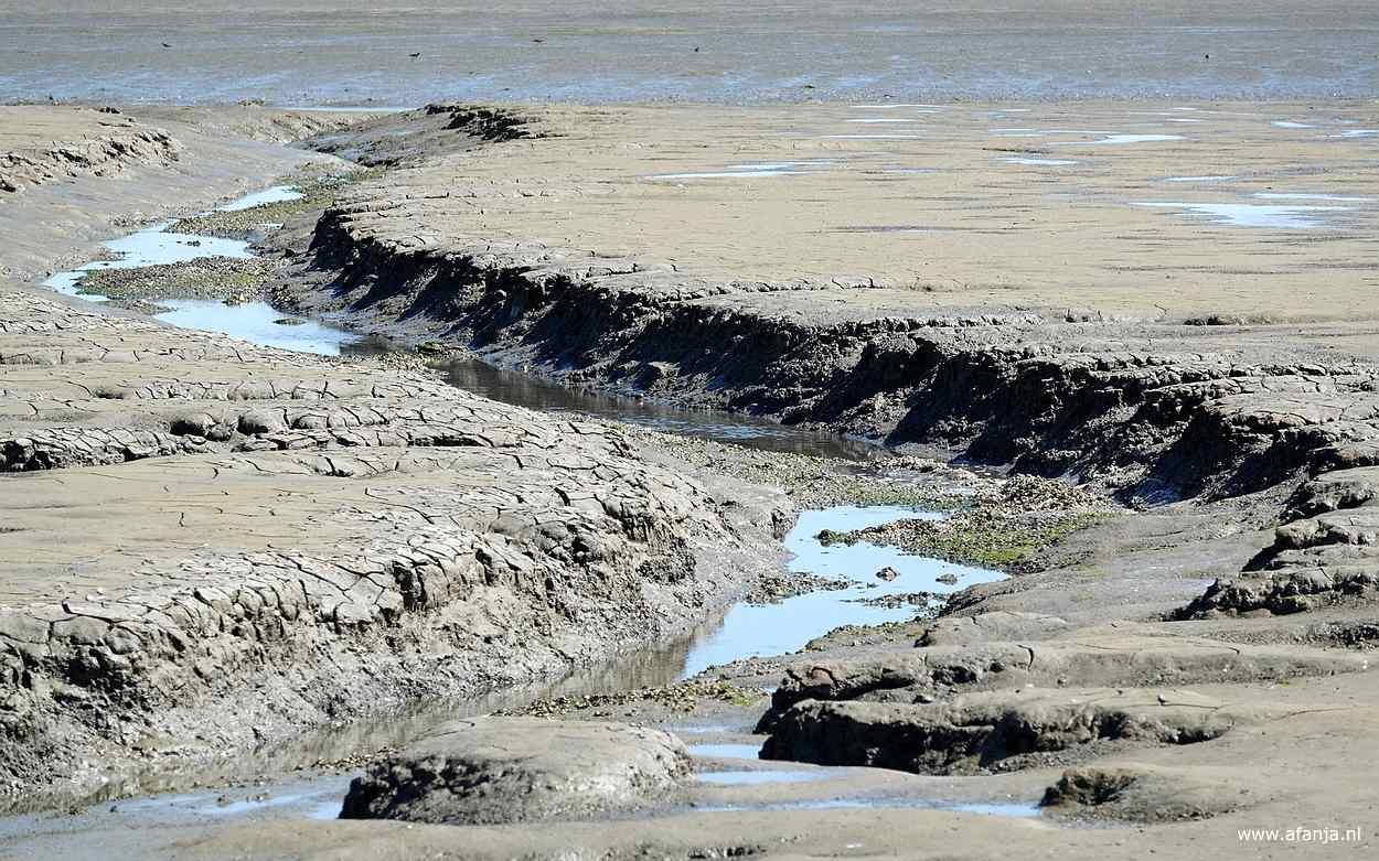 een slenk aan het begin van de Peazemerlânnen