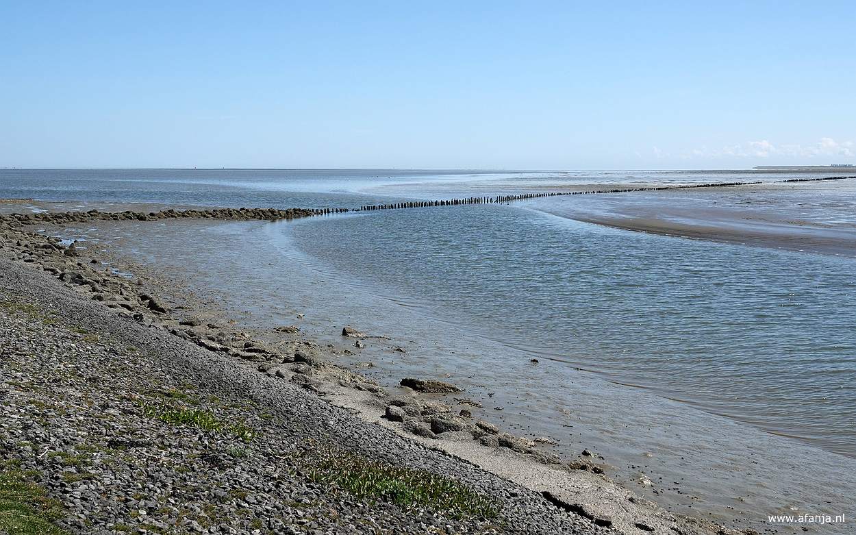 bijna aan het eind van het Smidspaed loopt eer palenrij in oostelijke richting