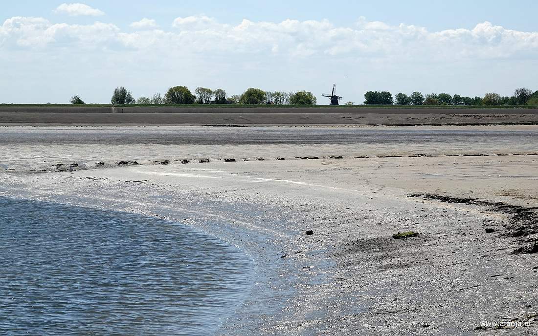 de molen 'de Hond' in Peazens achter de zeedijk