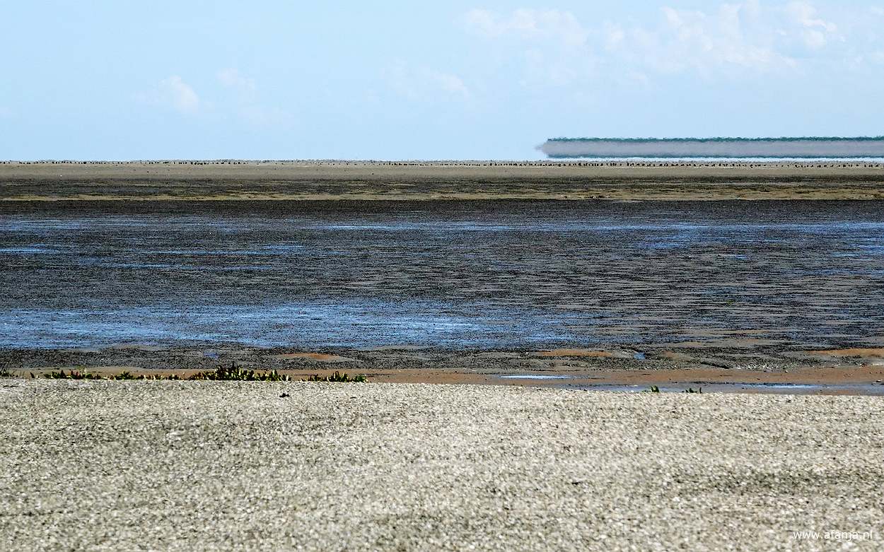 de Peazemerlânnen met in de verte de R.J. Cleveringsluizen, die de Waddenzee en het Lauwersmeer scheiden