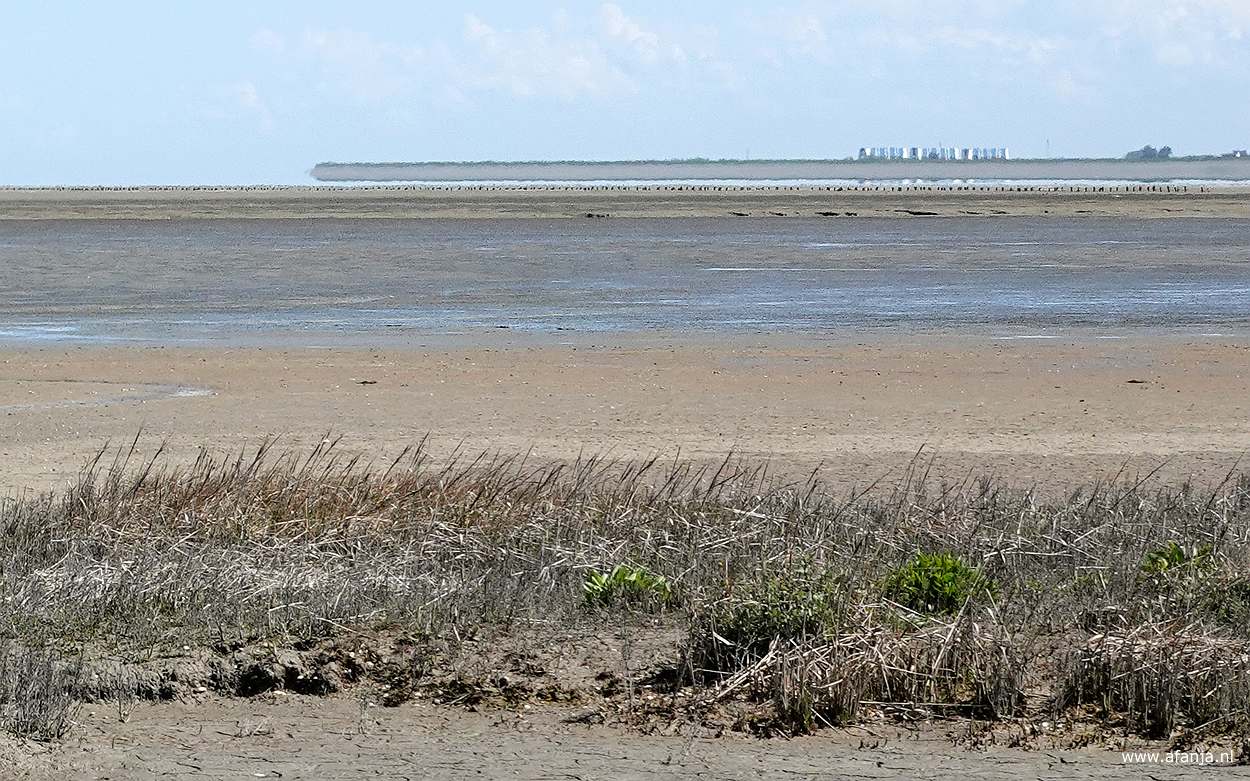 de Peazemerlânnen met in de verte de R.J. Cleveringsluizen, die de Waddenzee en het Lauwersmeer scheiden