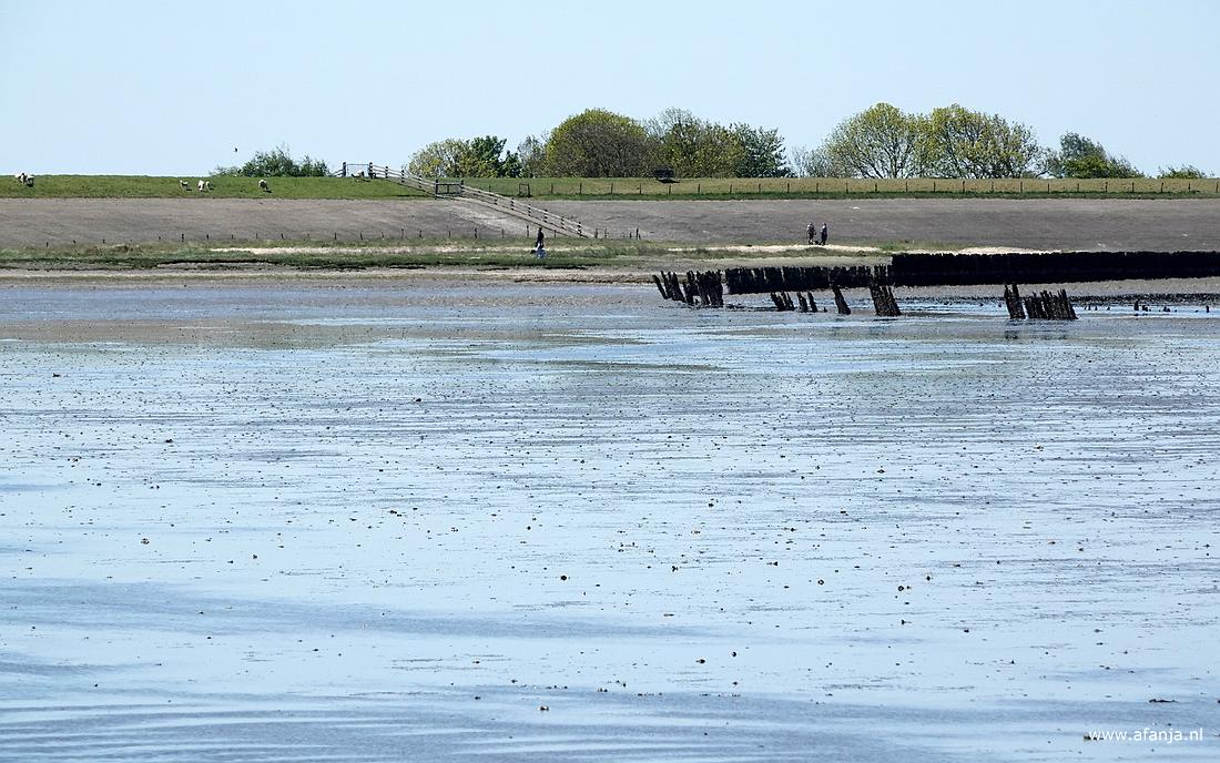 wandelaars langs het Wad