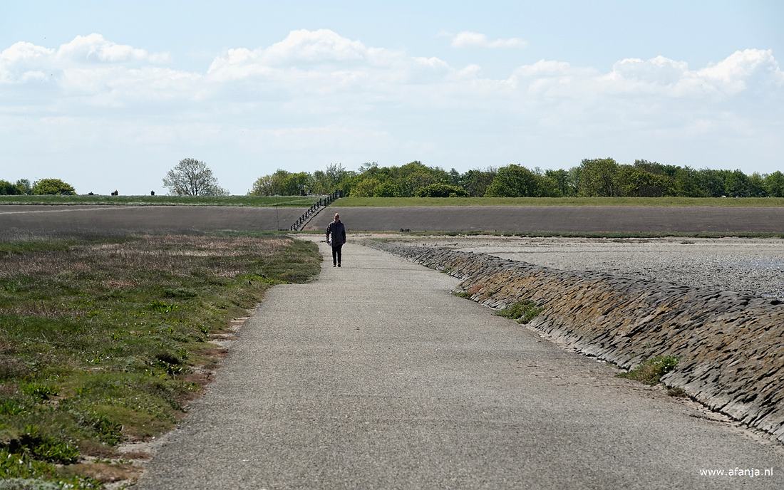 wandelaars langs het Wad