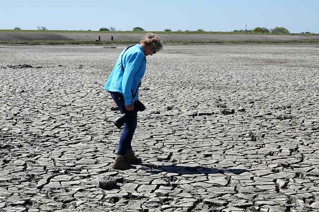 Jetske test de droogte op het Wad