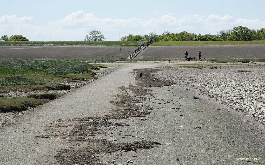 wandelaars langs het Wad