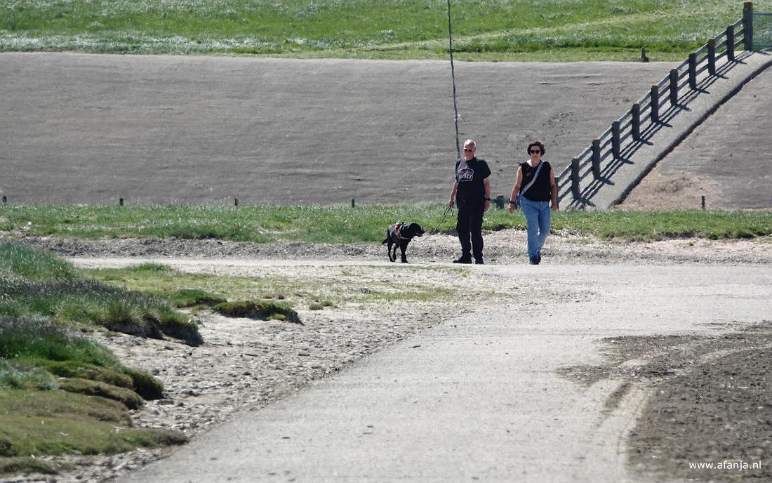 wandelaars langs het Wad