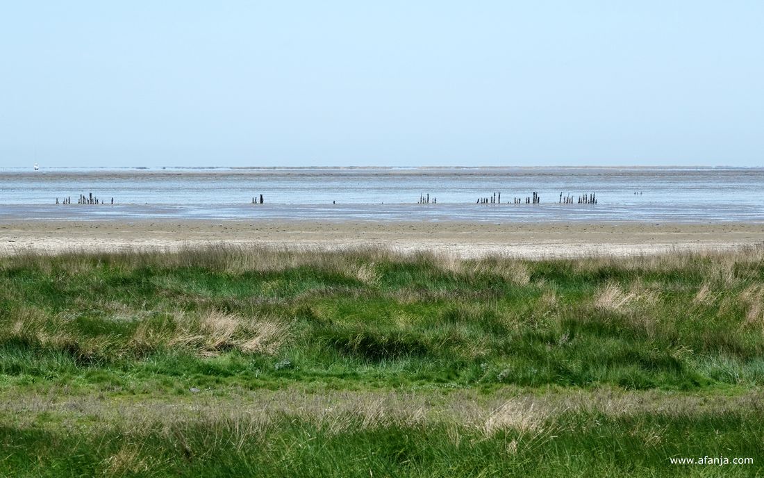aan de westkant van de strekdam lag de Waddenzee