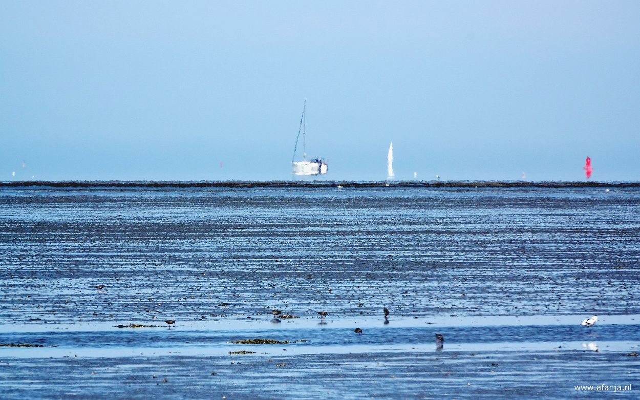 fata morgana's oftewel luchtspiegelingen van zeilboten en een boei aan de horizon op het Wad