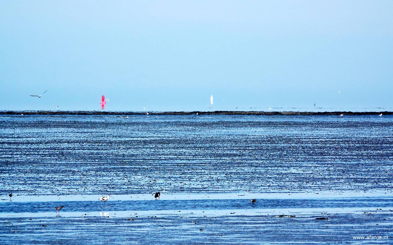 fata morgana's oftewel luchtspiegelingen van een boei en een zeilboot aan de horizon op het Wad