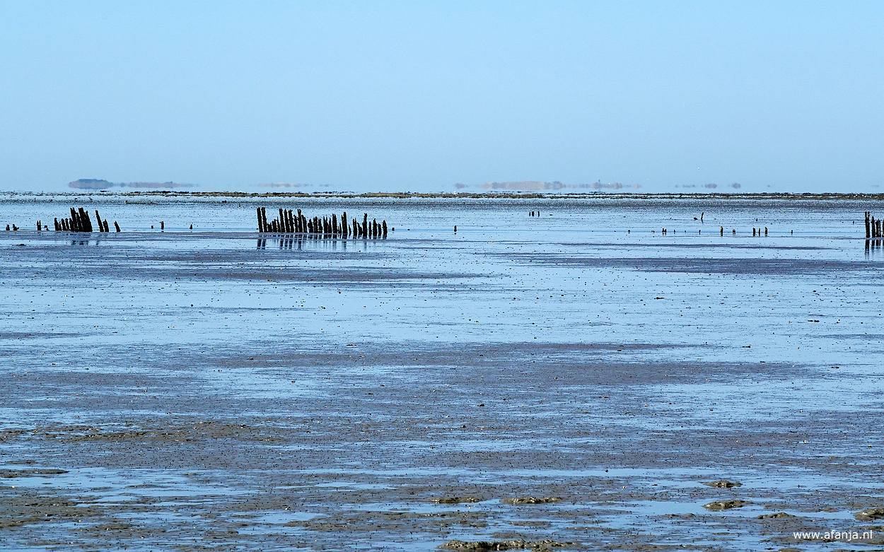 een rij oude paaltjes en daarachter een fata morgana oftewel luchtspiegeling aan de horizon op het Wad