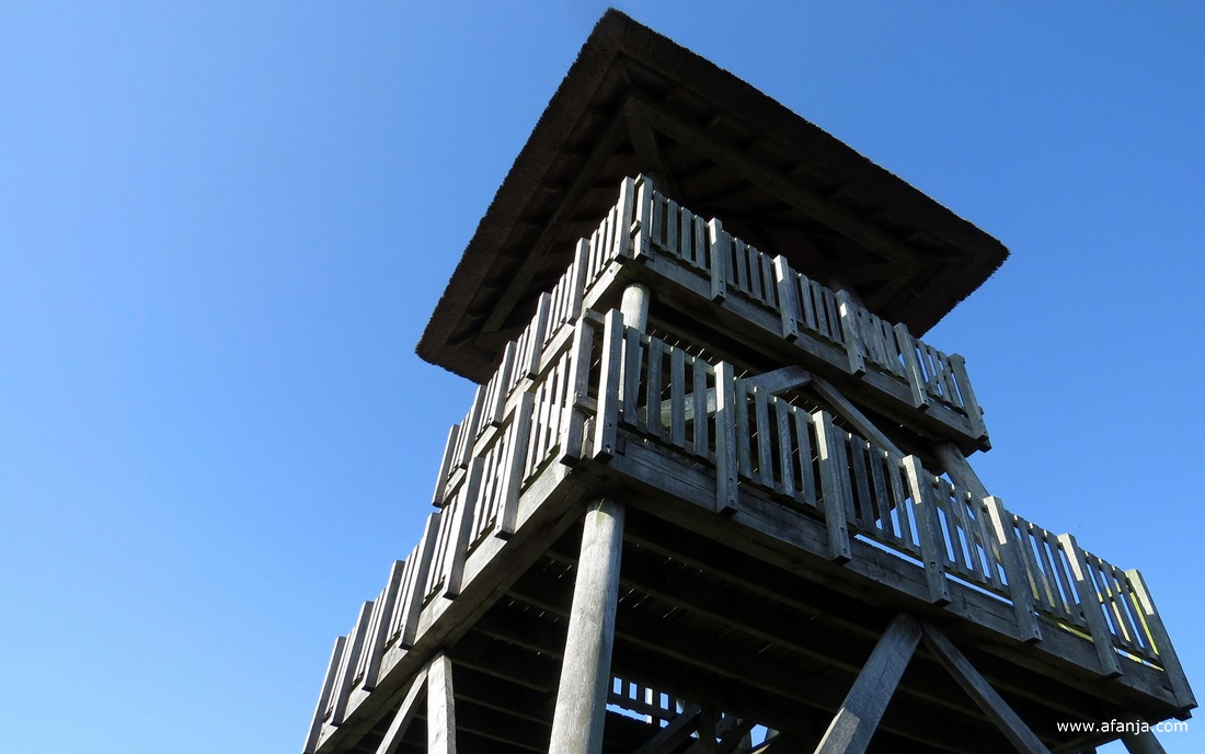 de uitkijktoren 'Romsicht' in de Jan Durkspolder