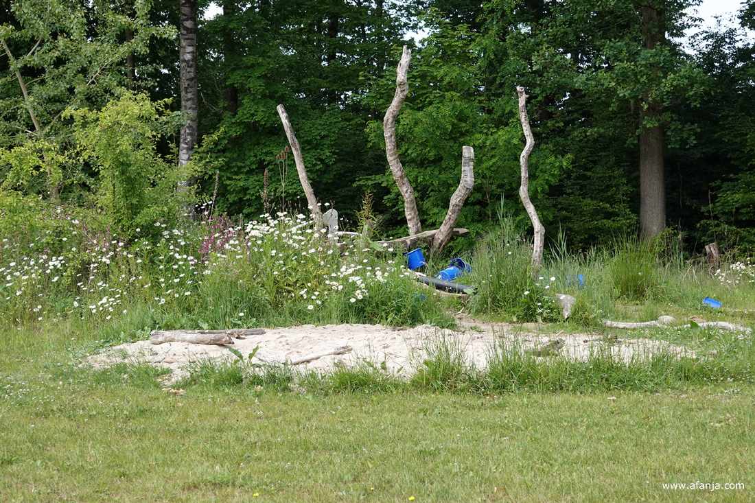 een speelplaats met water en zand, er staan een paar dode boomstammen en er groeien veel margrieten