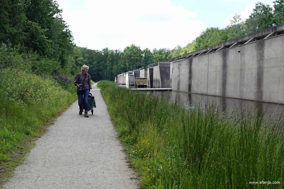 we vervolgen de paarse route door het Waterloopbos langs 'Deltawerk//'