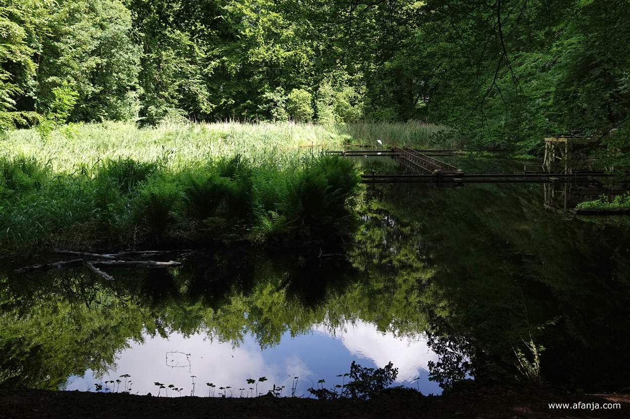 een waterbassin in het Waterloopbos, helemaal achteraan staat een grote zilverreiger achter een vaag zichtbaar roestige constructie in het water