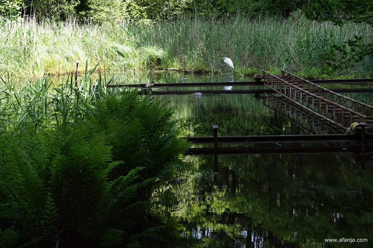 een grote zilverreiger staat achter een roestige constructie in het water