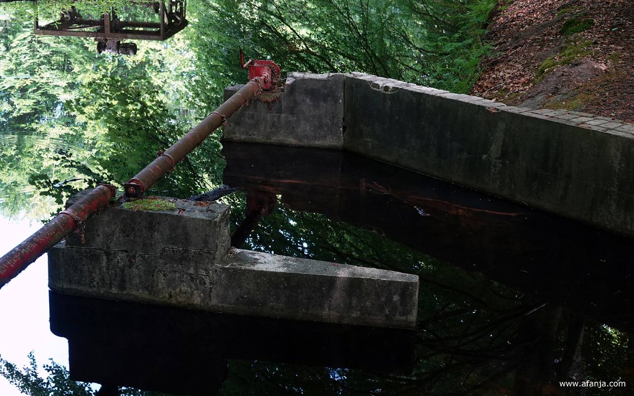 een wateruitlaat in het Waterloopbos