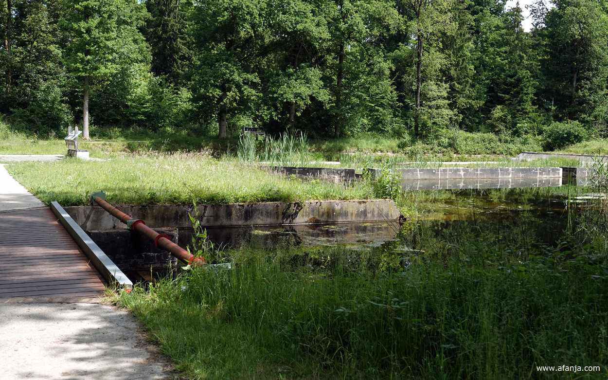 we naderen een nieuwe waterpartij in het Waterloopbos