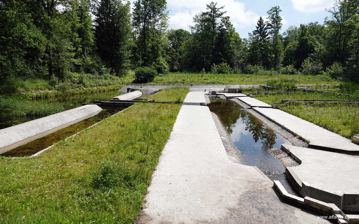 een deel van het stroommodel van de Maasvlaktecentrale