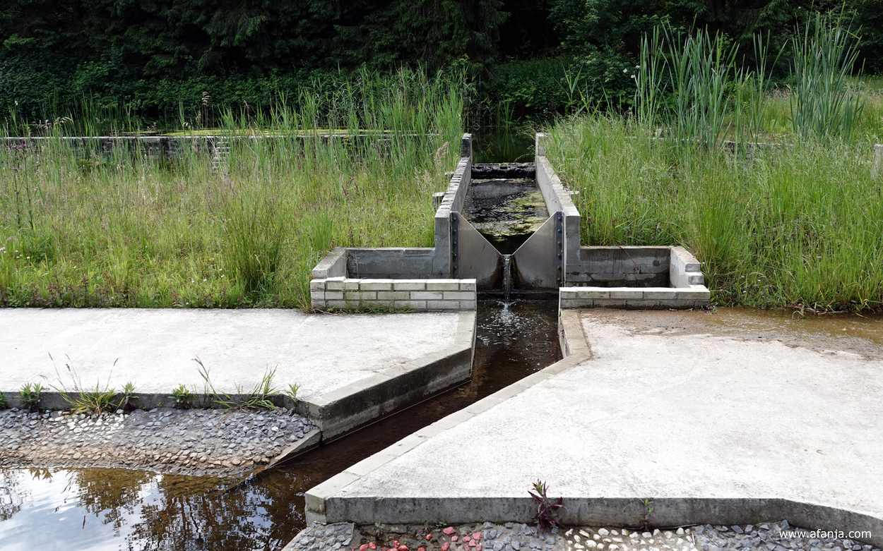 een verkoelende waterstroom in het Waterloopbos