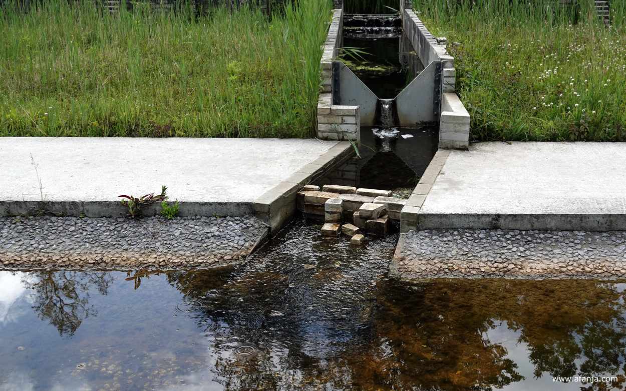 een verkoelende waterstroom in het Waterloopbos
