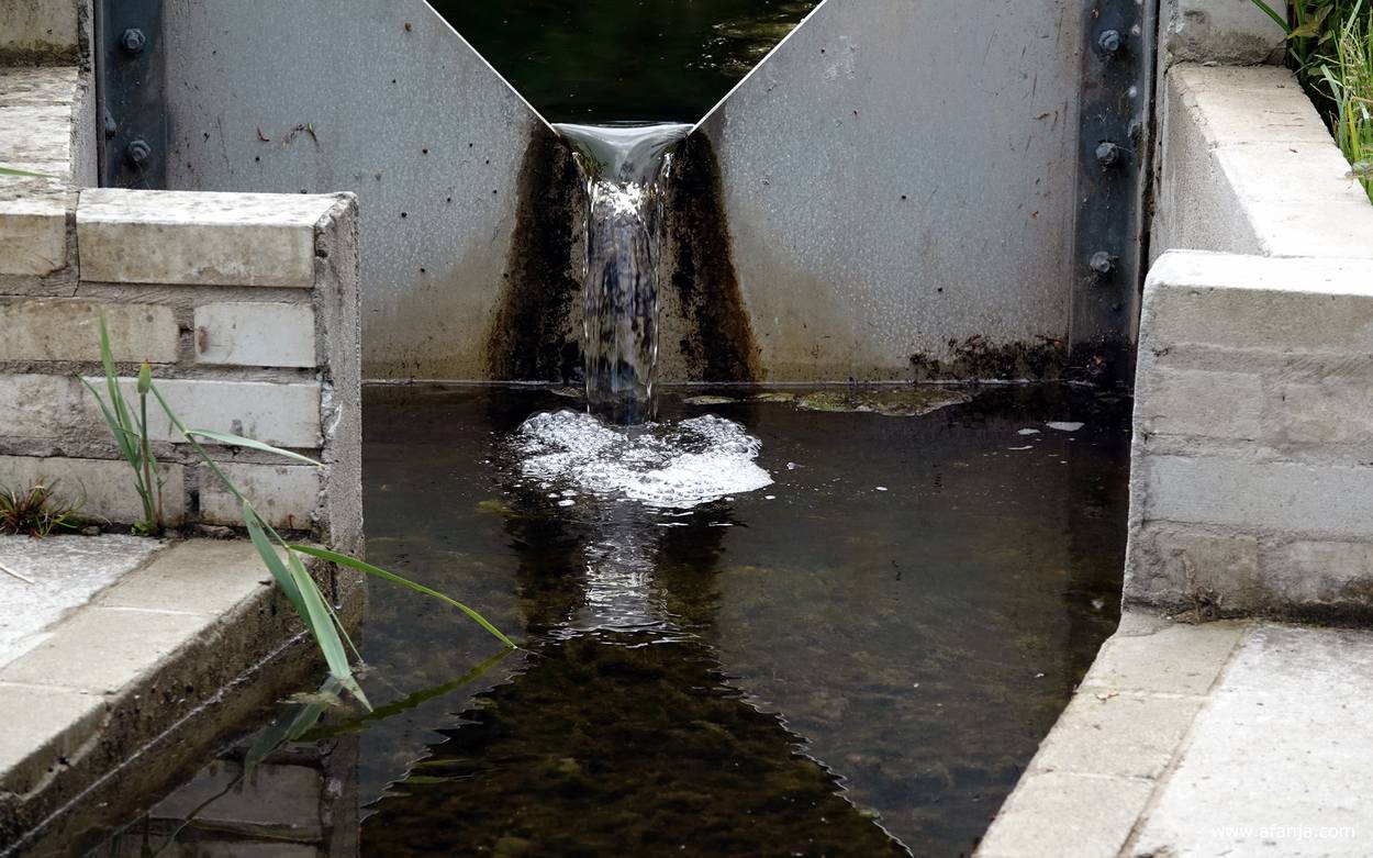 een verkoelende waterstroom in het Waterloopbos