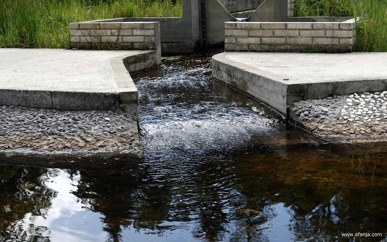een verkoelende waterstroom in het Waterloopbos