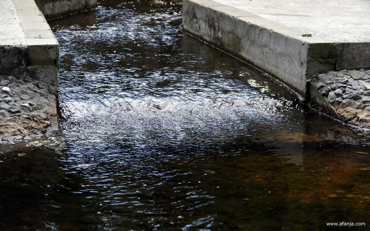 een verkoelende waterstroom in het Waterloopbos