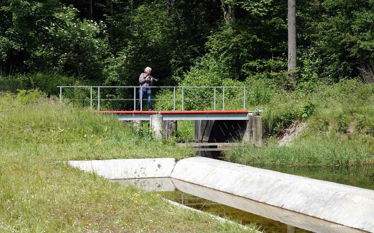 fotomaatje Jetske staat op een bruggetje te fotograferen