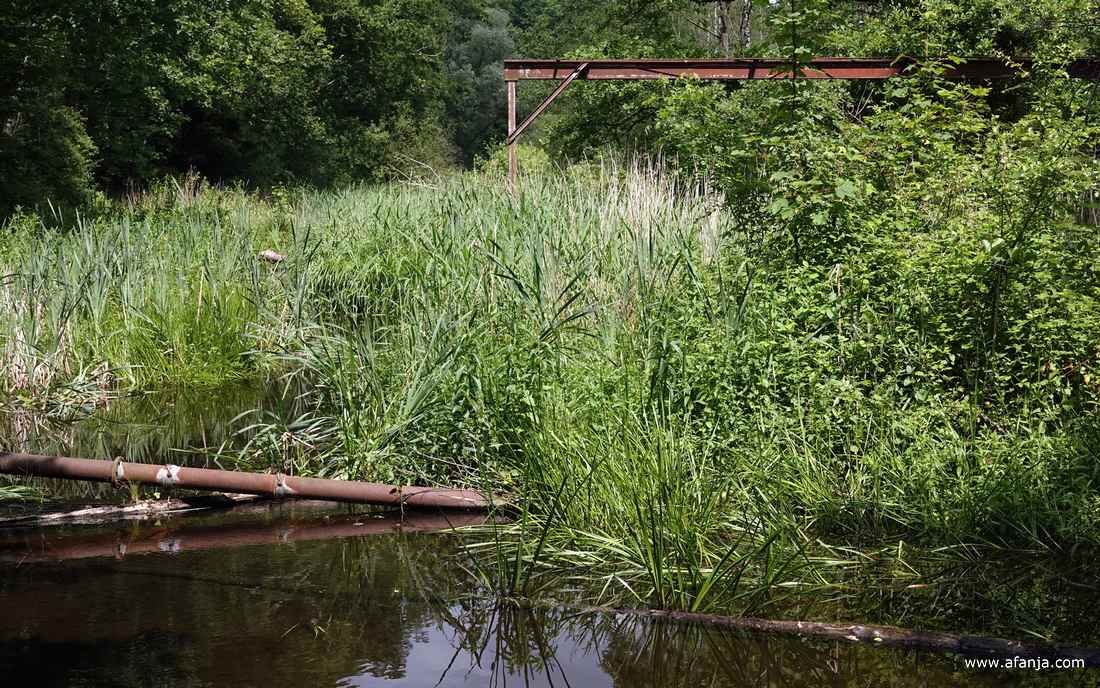 een roestige stang of buis hangt scheef in het water, daarachter groeit vooral riet. Verderop rijst een roestige stellage op uit het riet.