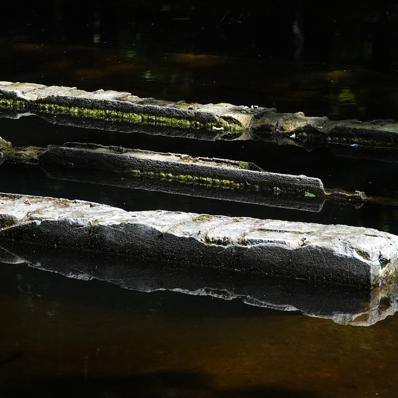 in het water zijn de restanten van een stenen schaalmodel in het Waterloopbos te zien
