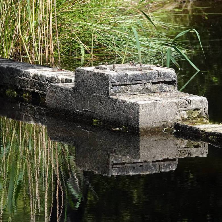 in het water zijn de restanten van een stenen schaalmodel in het Waterloopbos te zien - linksboven ligt een mandarijneend op een muurtje