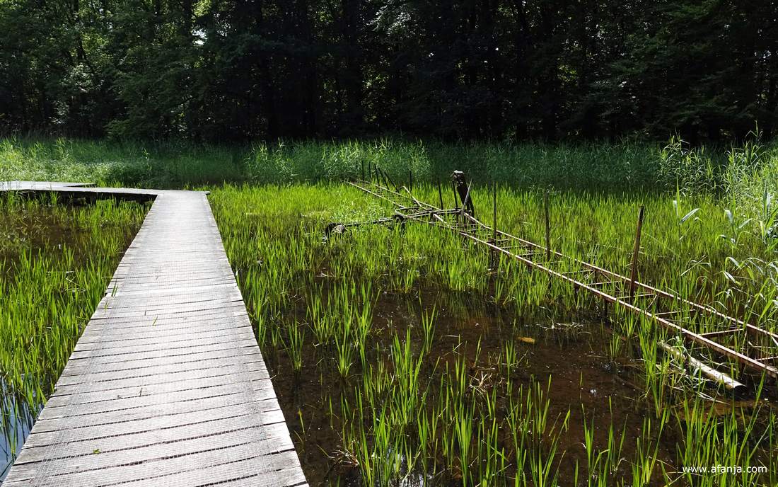 naast een vlonderpad ligt een onherkenbare roestige constructie in het water