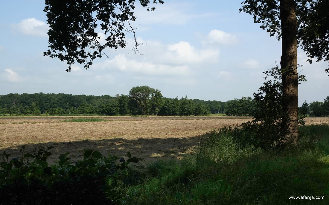 boerenland met lekker geurend hooi
