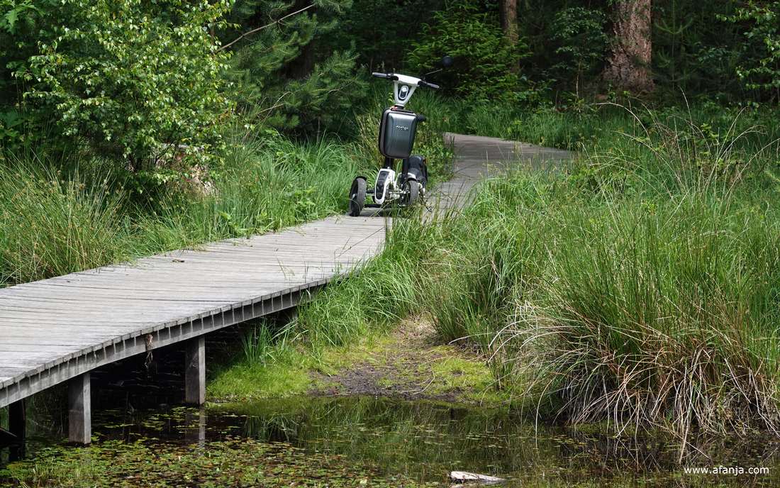 de iLark staat op de standaard aan het begin van het vlonderpad