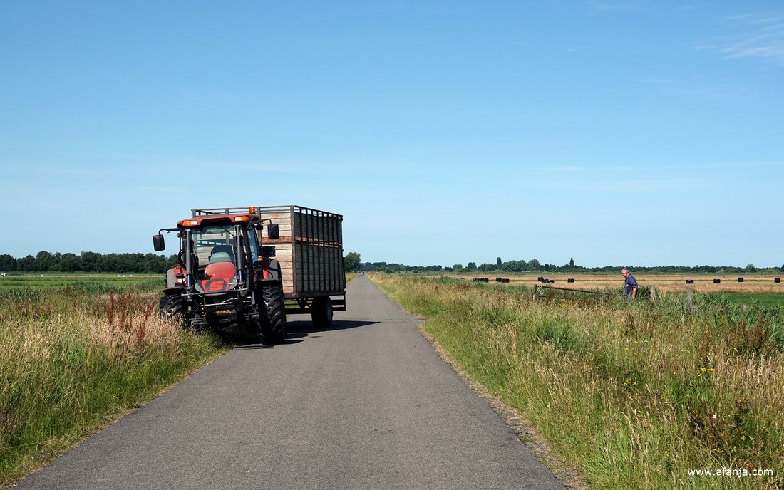 in de linker berm staat een trekker met een wagen, rechts van de weg verlaat een boer het weiland