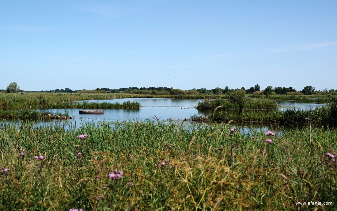 bij It Krûme Gat tegenover het Noordergemaal bij De Veenhoop