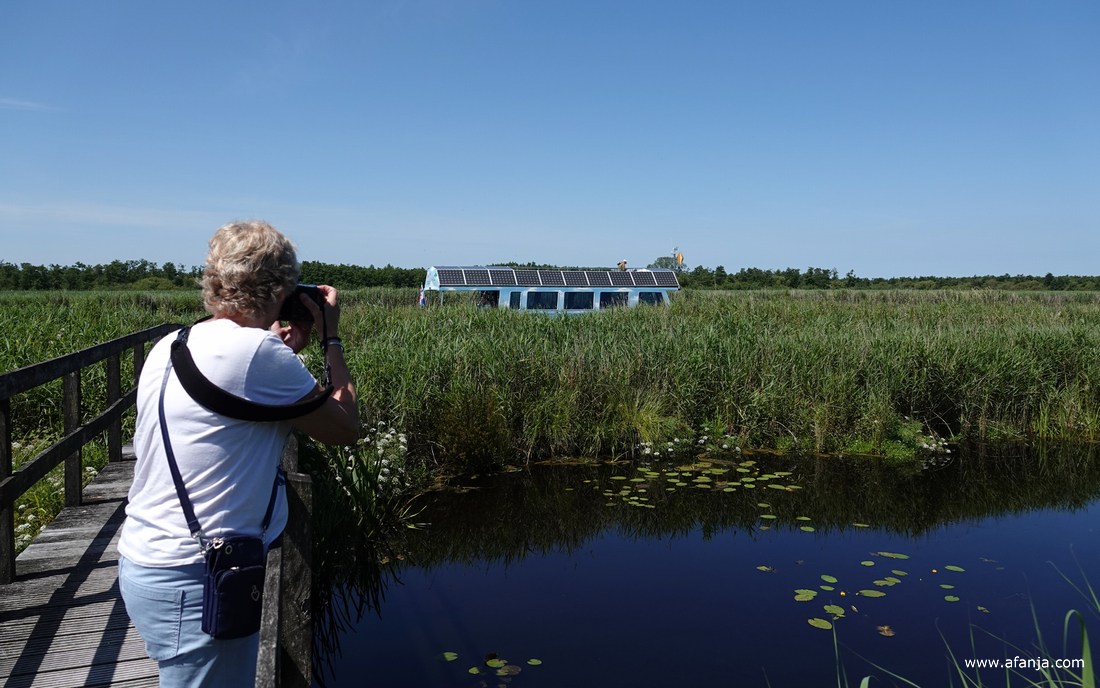 Jetske fotografeert de door zonne-energie aangedreven excursieboot 'Blaustirns' van 'It Fryske Gea'