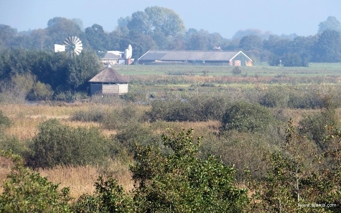 de vogelkijkhut in de Jan Durkspolder gezien vanaf de uitkijktoren 'Romsicht' in oktober 2018
