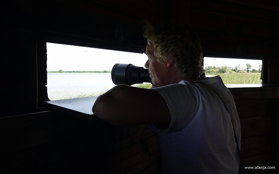 mijn fotomaatje kijkt uit over het meertje de Leien vanuit de vogelkijkhut 'de Blaustirns'