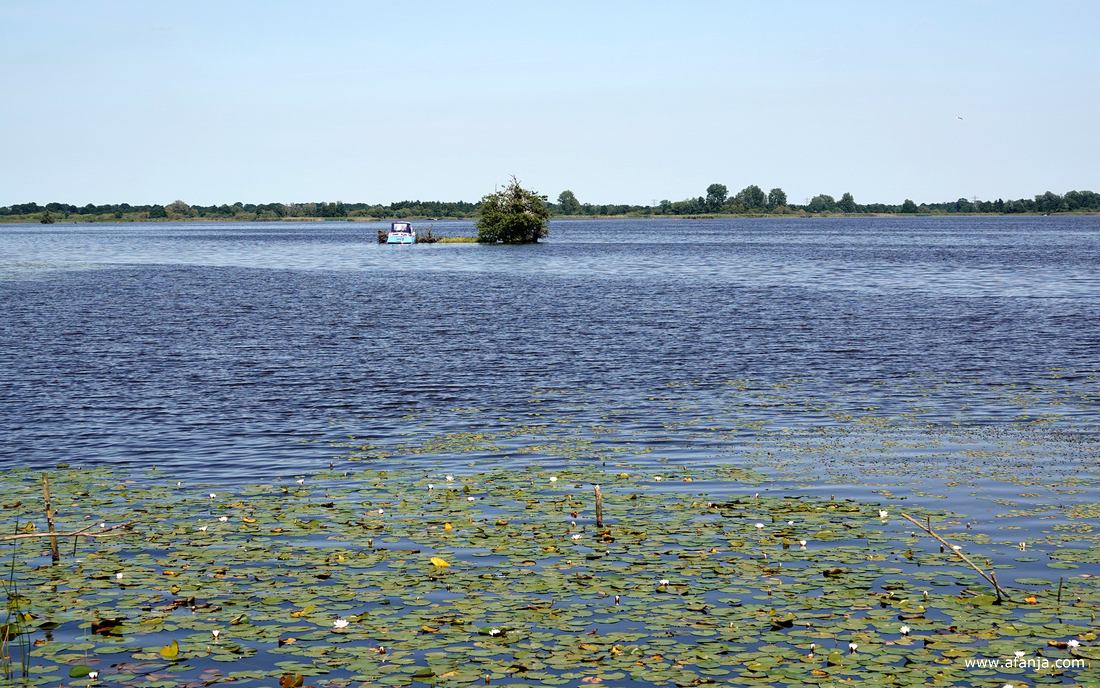 er ligt een bootje bij de laatste boom van het eilandje 'de Kninepôle' in de Leijen