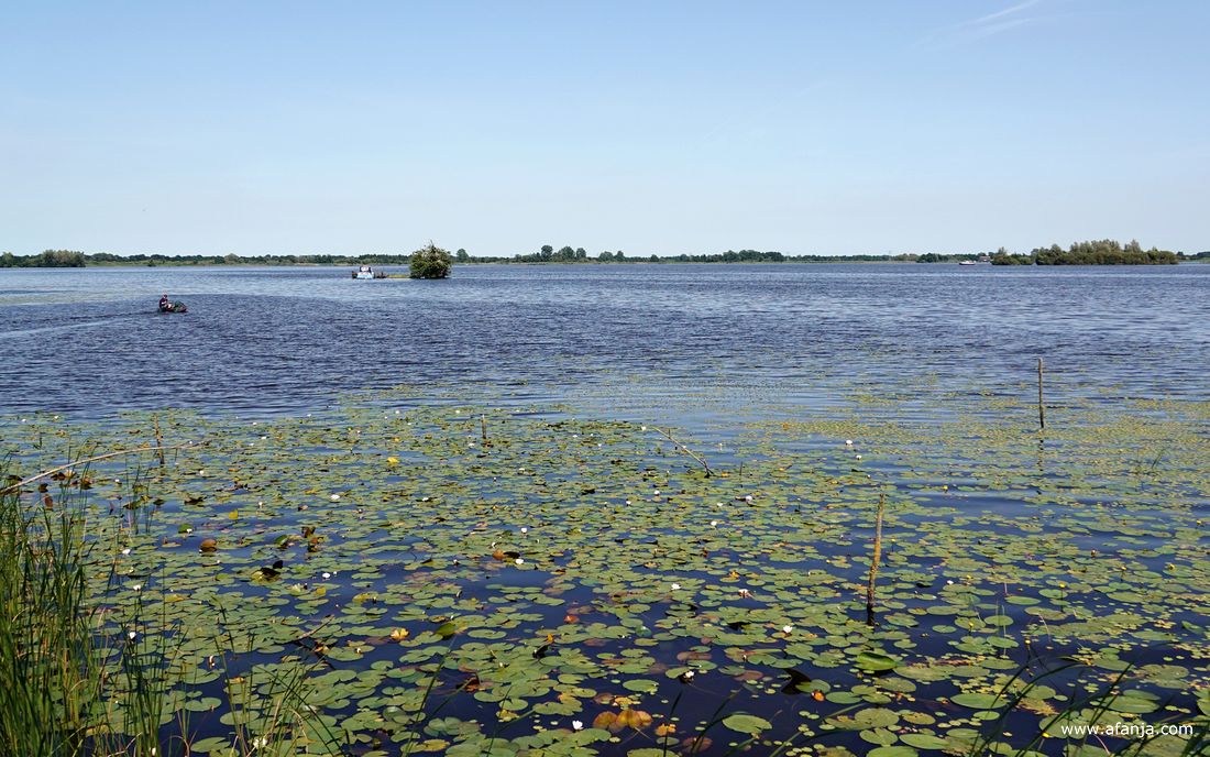 er vaart een rubberbootje naar het bootje bij de laatste boom van het eilandje 'de Kninepôle' in de Leijen