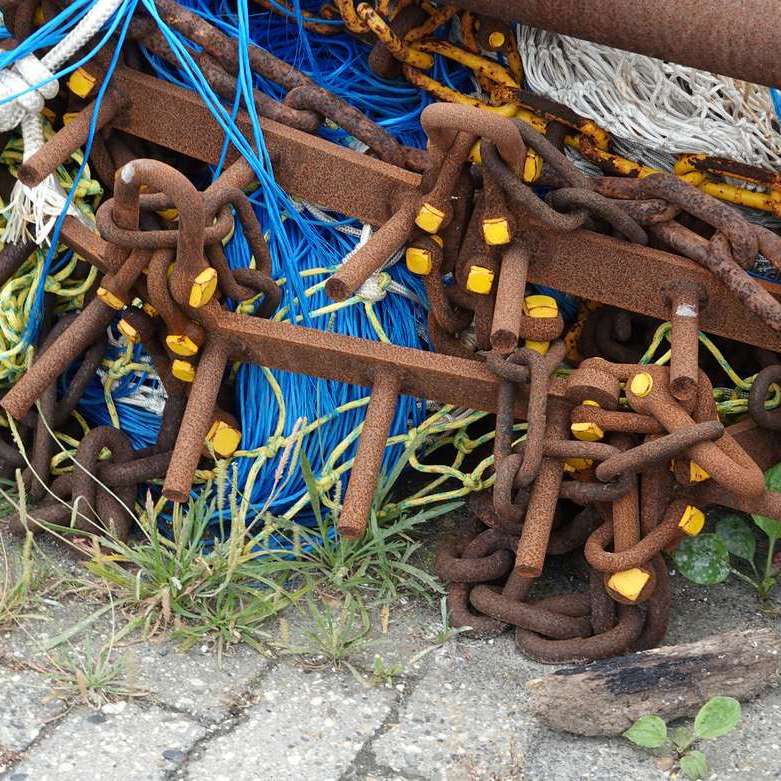 geel en roestbruin op de kade van Lauwersoog