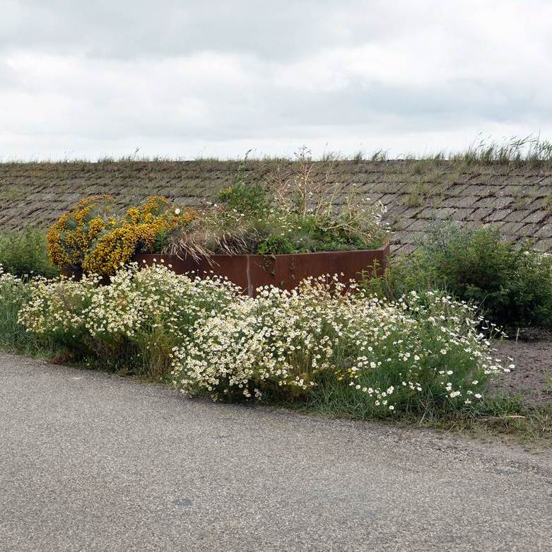 bloemen doorbreken het grijs van het dijklichaam