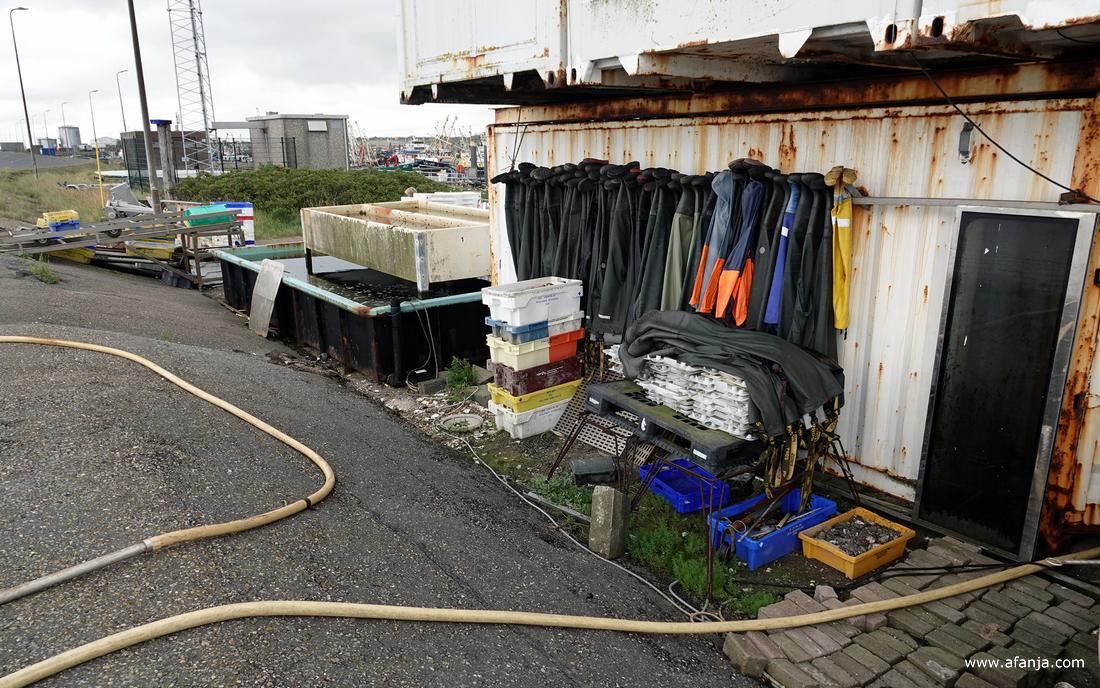 aan de achterkant van het bouwwerk van containers in de vissershaven van Lauwersoog